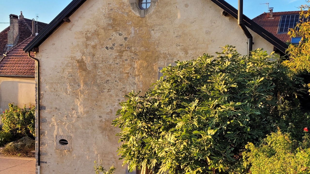 Photo of Outdoor in Menetru-le-Vignoble