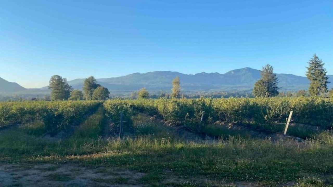 Photo of Others in Sedro-Woolley