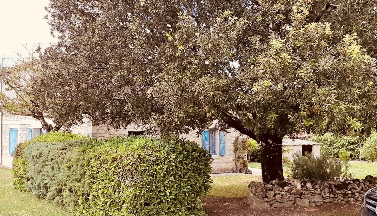 Photo of Outdoor in Flaugnac