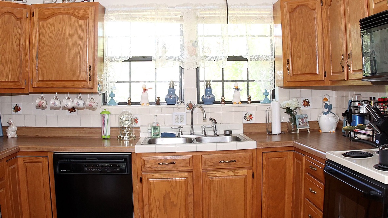 Photo of Kitchen in Leasburg