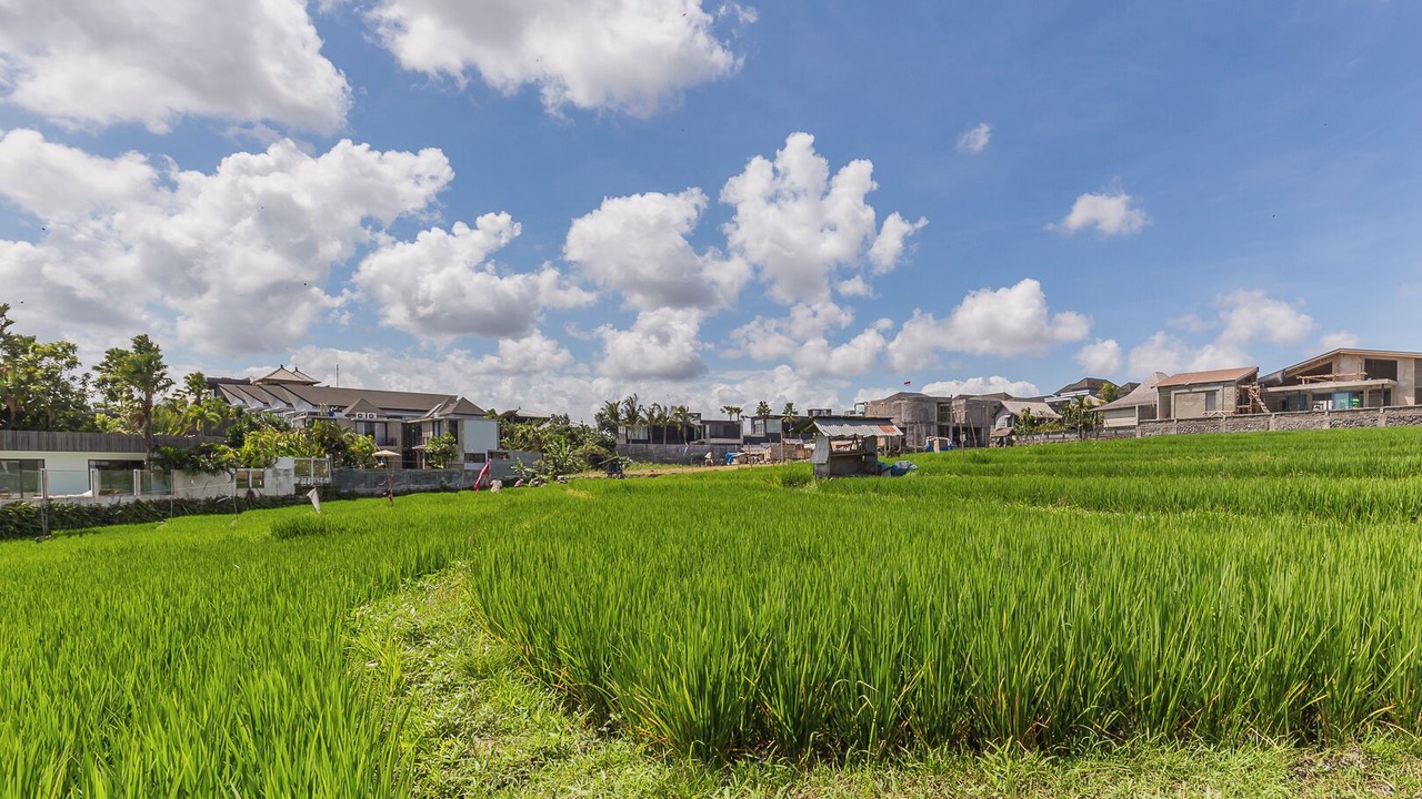 Photo of Outdoor in Umalas