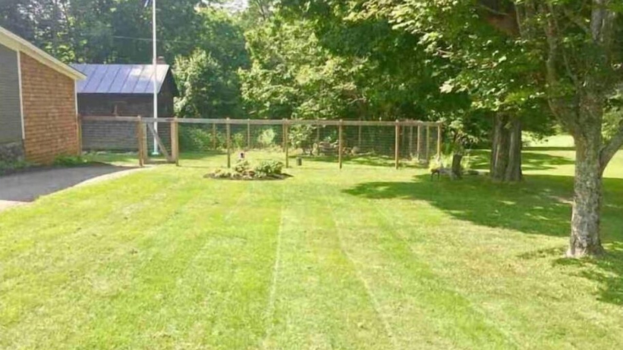 Photo of Outdoor in Woodstock