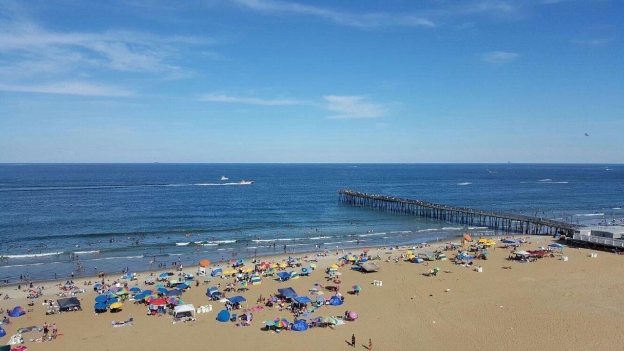 Photo of Others in Northeast Virginia Beach