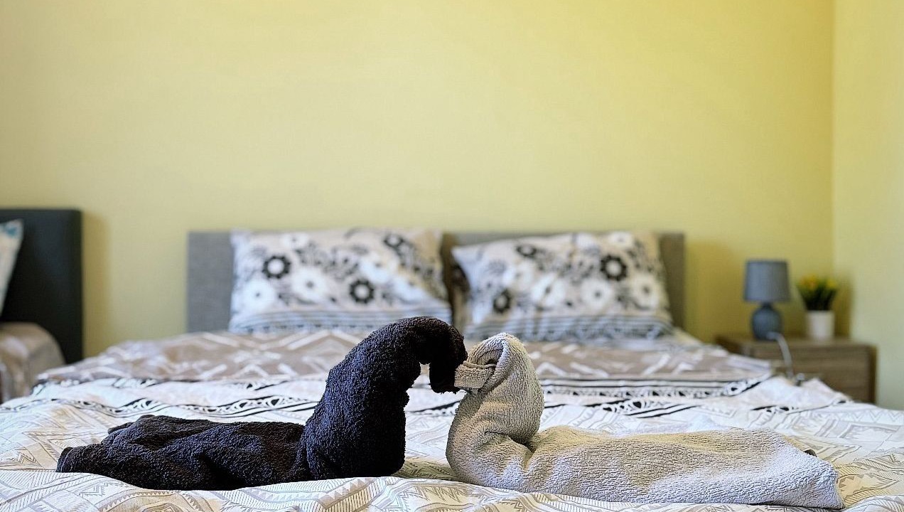 Photo of Bedroom in Granges-Aumontzey