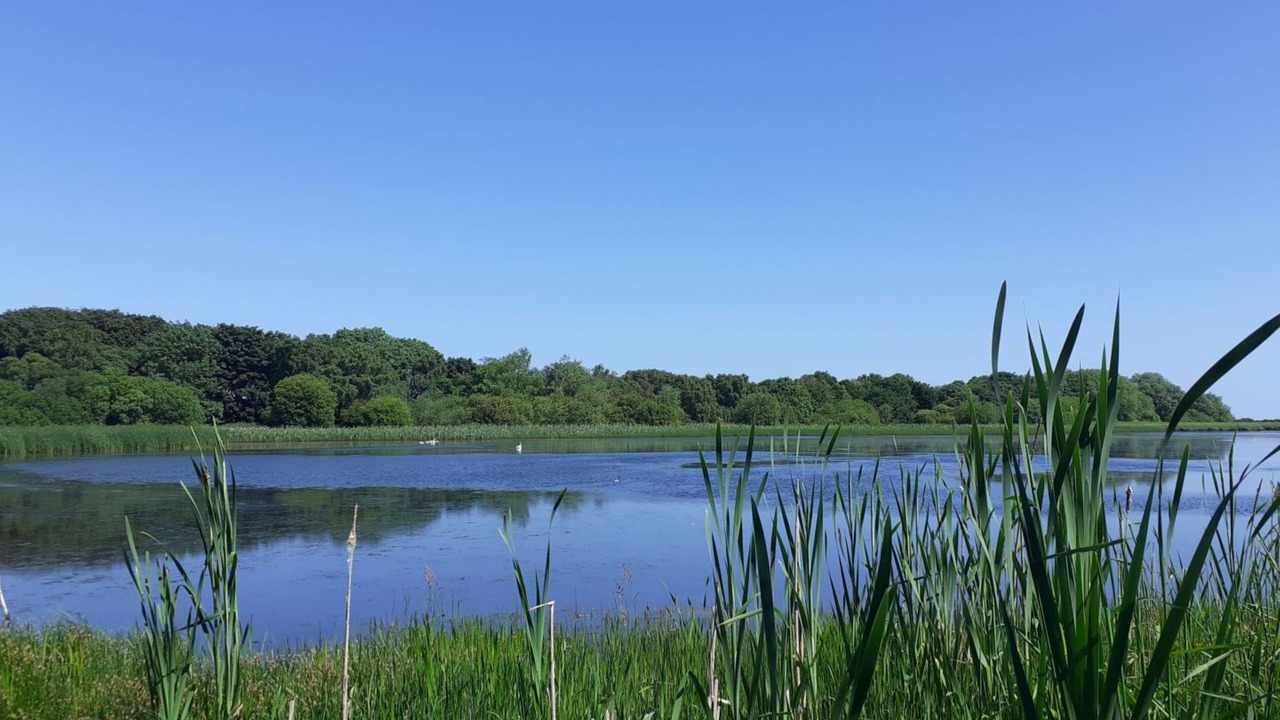 Photo of Others in Cramlington