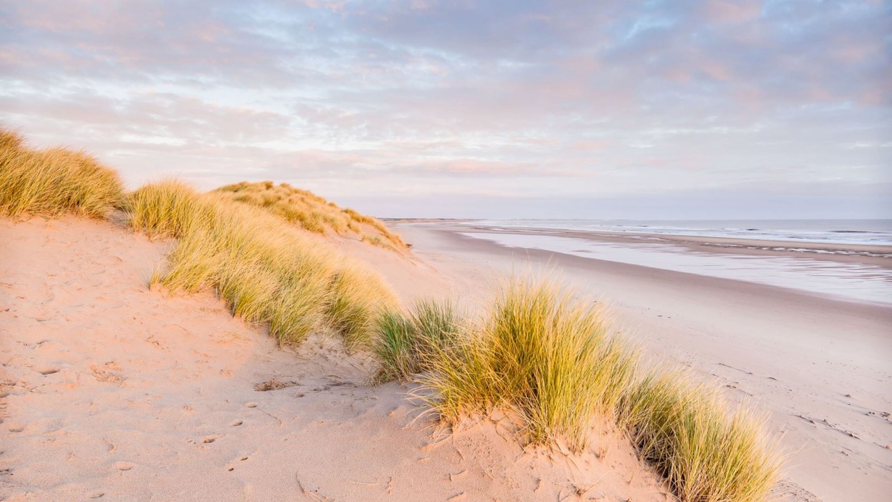 Photo of Others in Cramlington