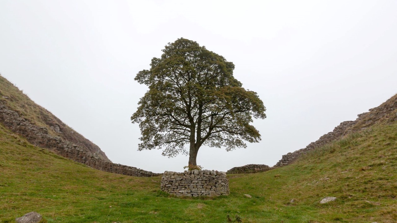 Photo of Others in Cramlington