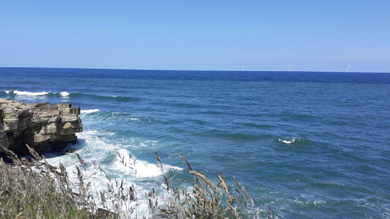 Photo of Others in Cramlington