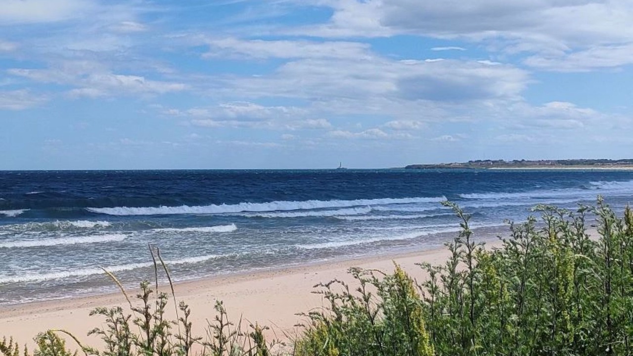 Photo of Others in Cramlington