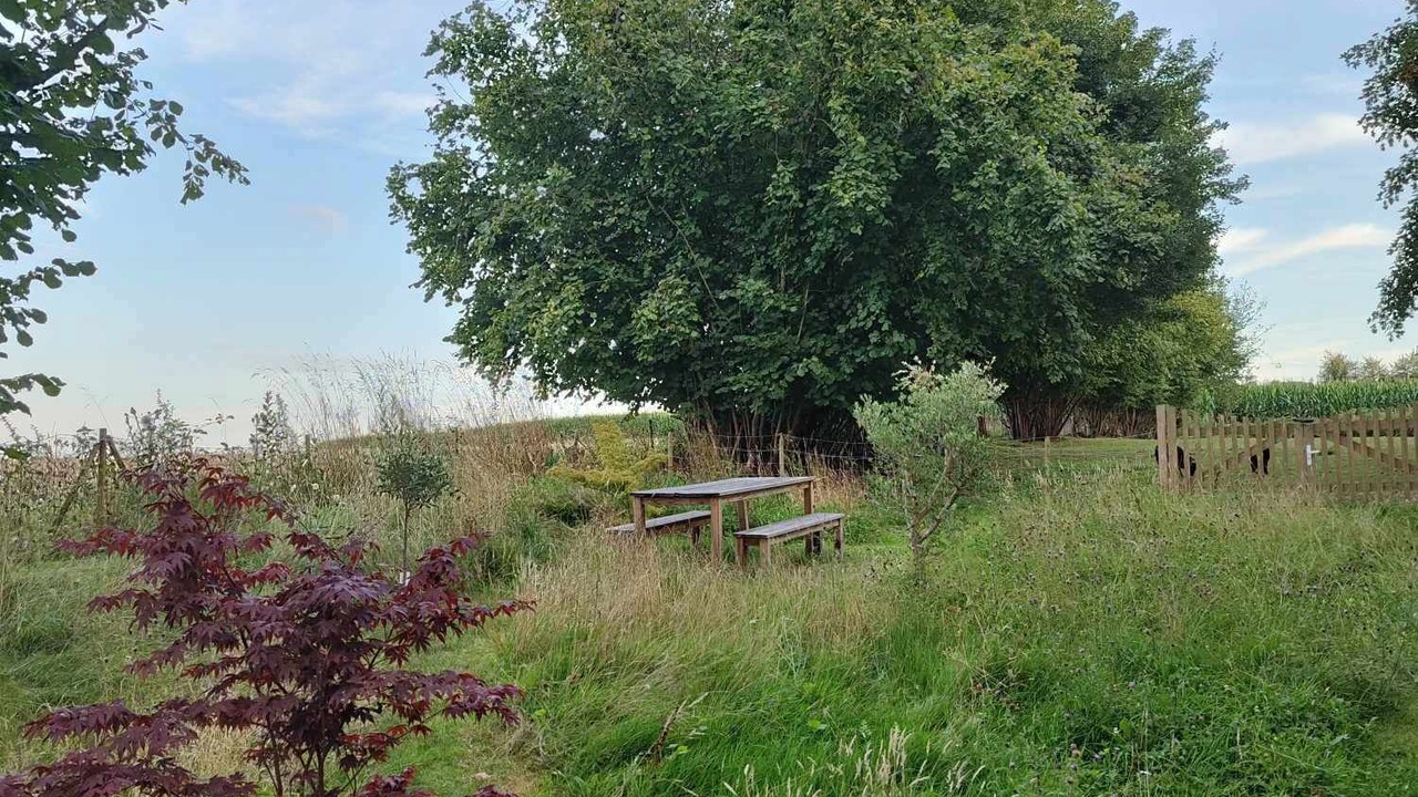 Photo of Outdoor in La Chapelle du Lou du Lac