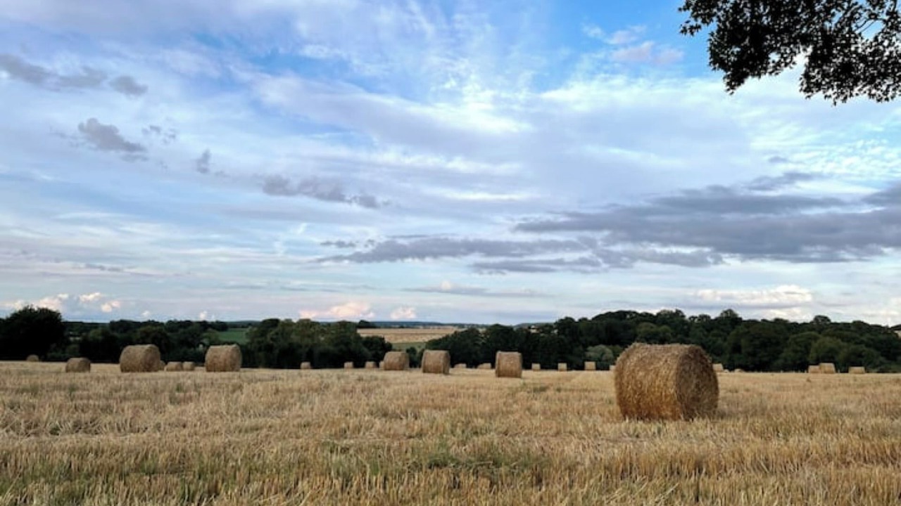 Photo of Outdoor in Saint-Jean-Pierre-Fixte