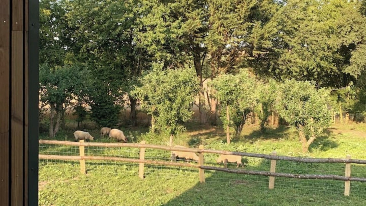 Photo of Outdoor in Saint-Jean-Pierre-Fixte