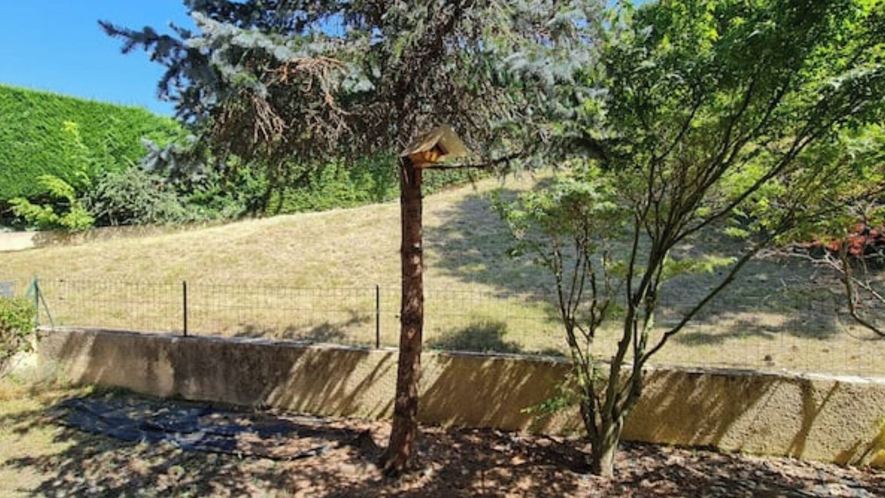 Photo of Outdoor in Balma