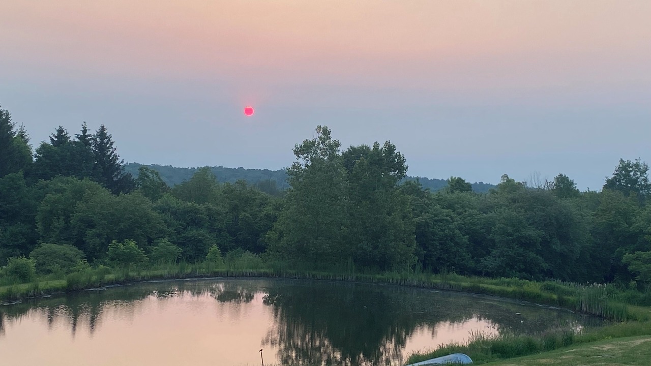 Photo of Others in Cherry Creek