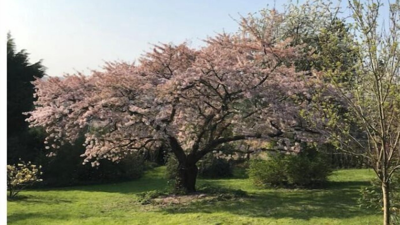 Photo of Others in Saint-Pierre-de-Bailleul