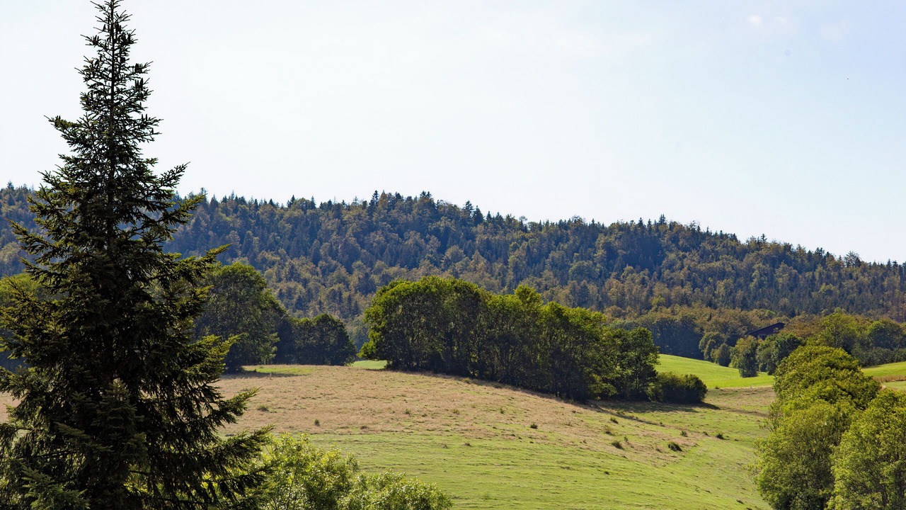Photo of Outdoor in Le Petit-Abergement