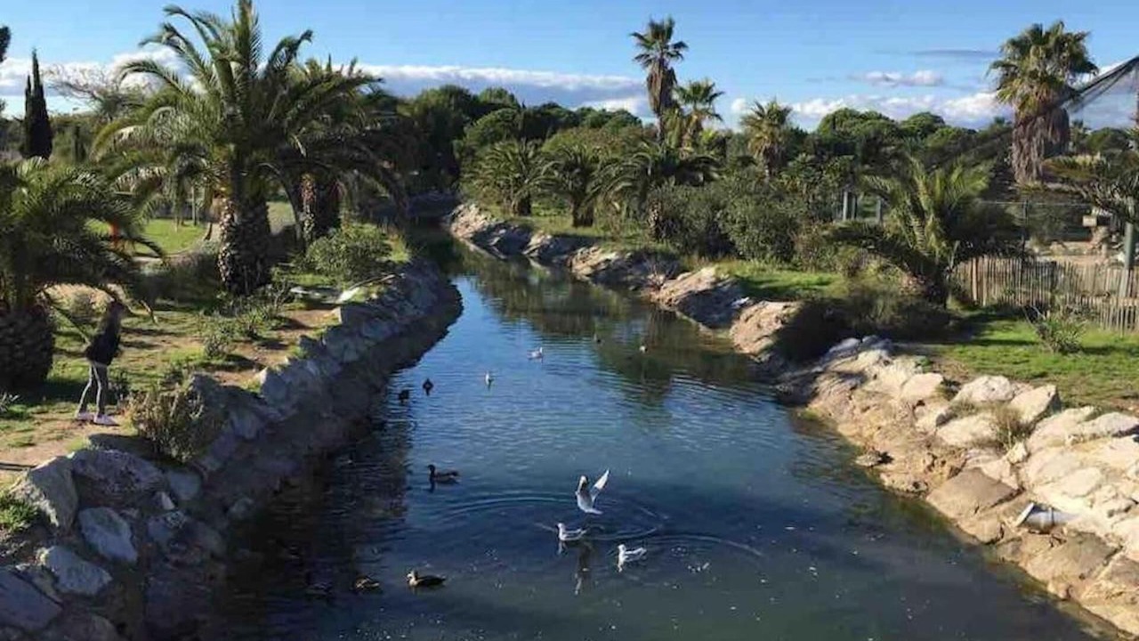 Photo of Others in Palavas-les-Flots