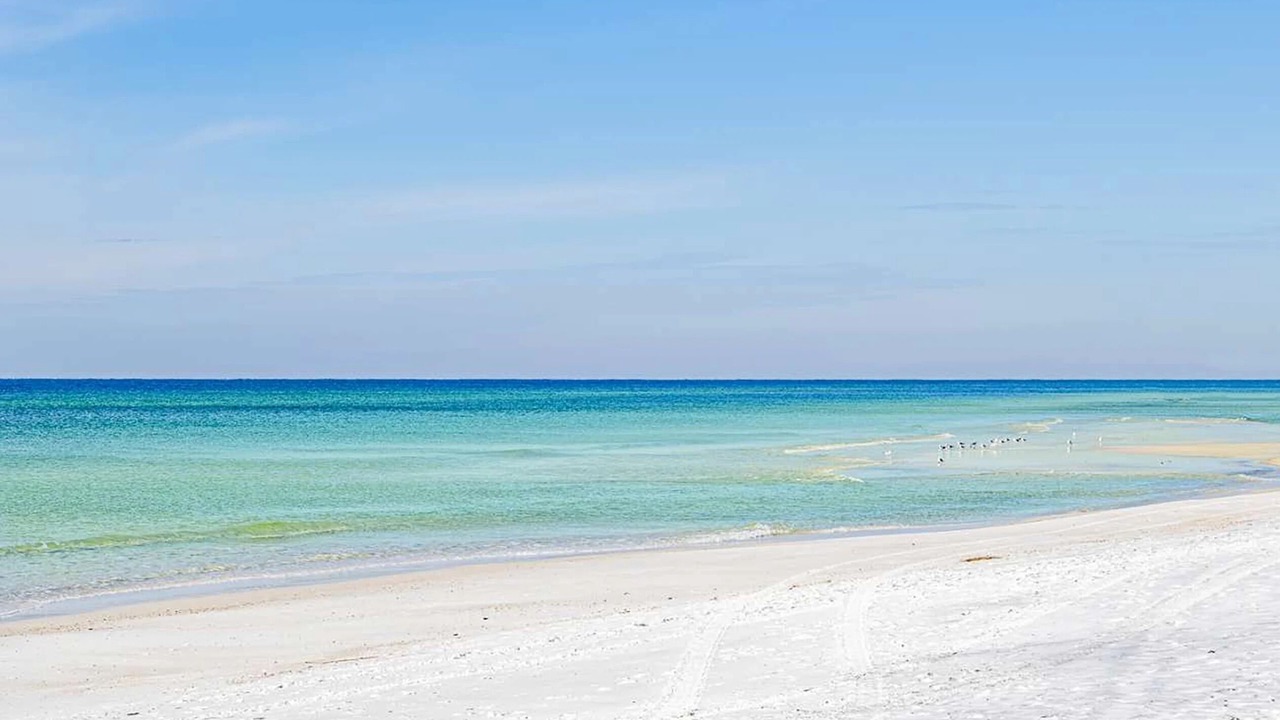 Photo of Others in Gulf Lagoon Beach