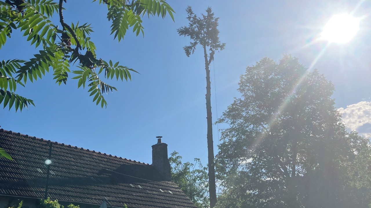 Photo of Outdoor in Chailly-en-Gatinais