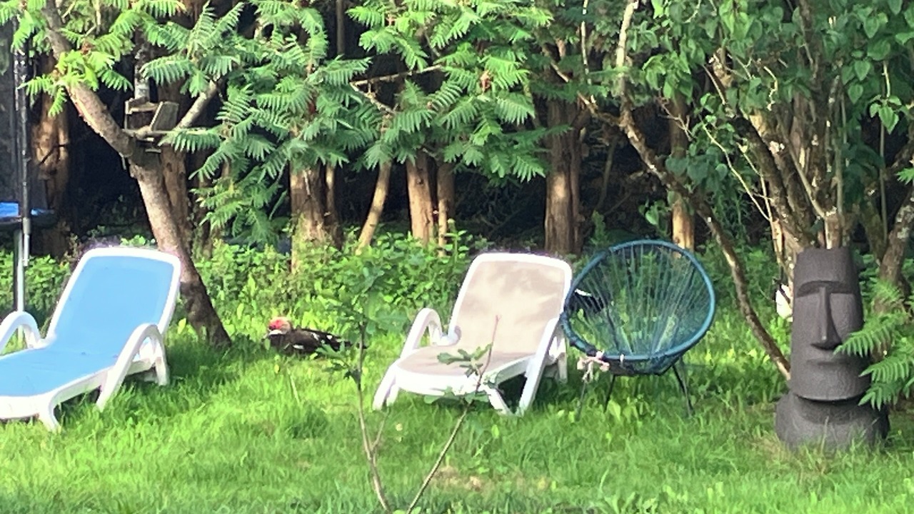 Photo of Outdoor in Chailly-en-Gatinais
