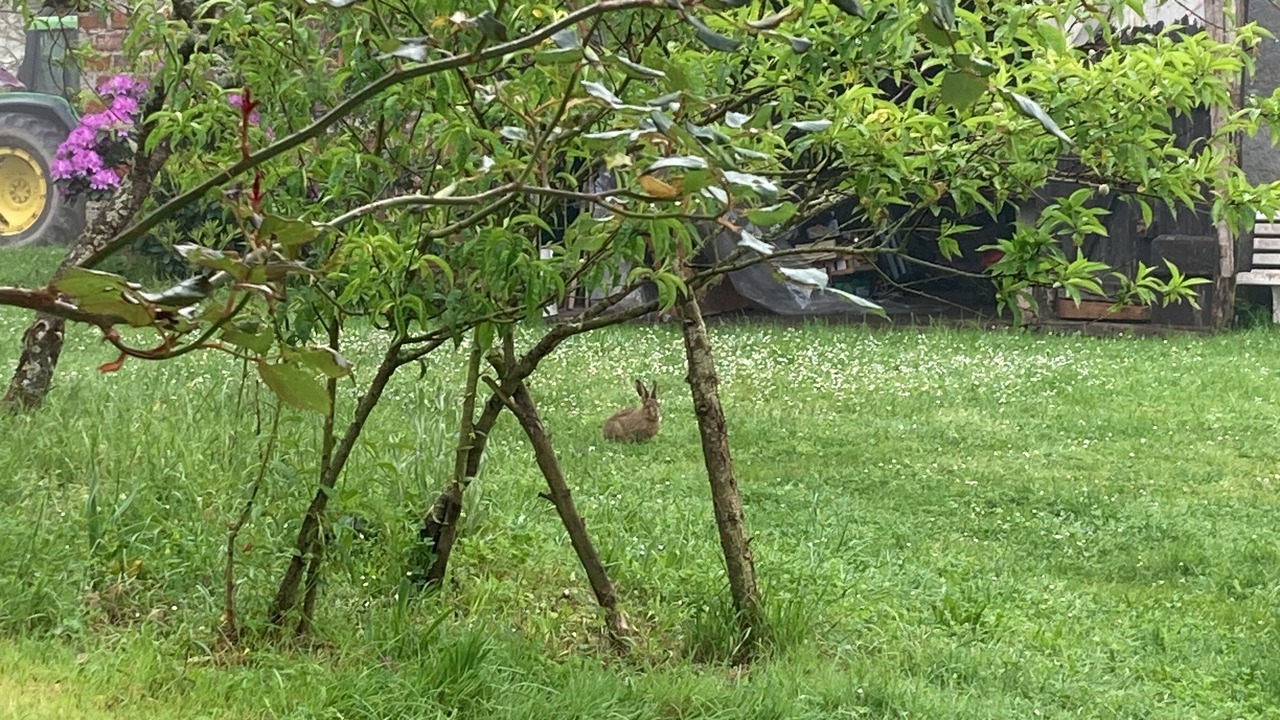 Photo of Outdoor in Chailly-en-Gatinais