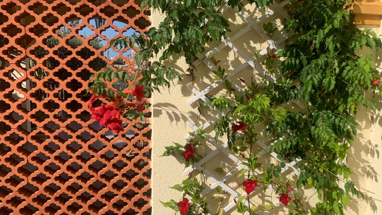 Photo of Outdoor in Playa Flamenca