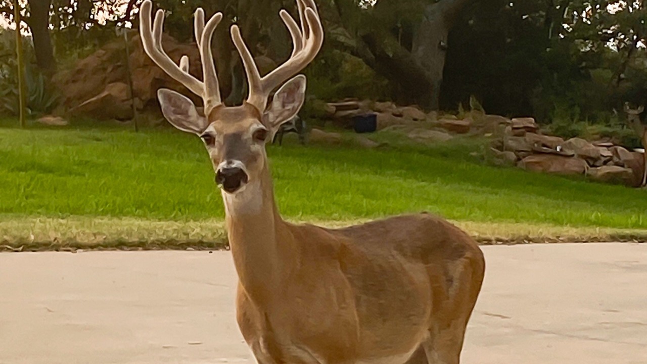 Photo of Others in Buchanan Dam