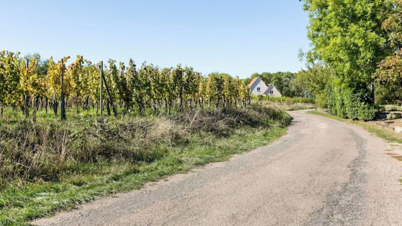 Photo of Outdoor in Bourgheim