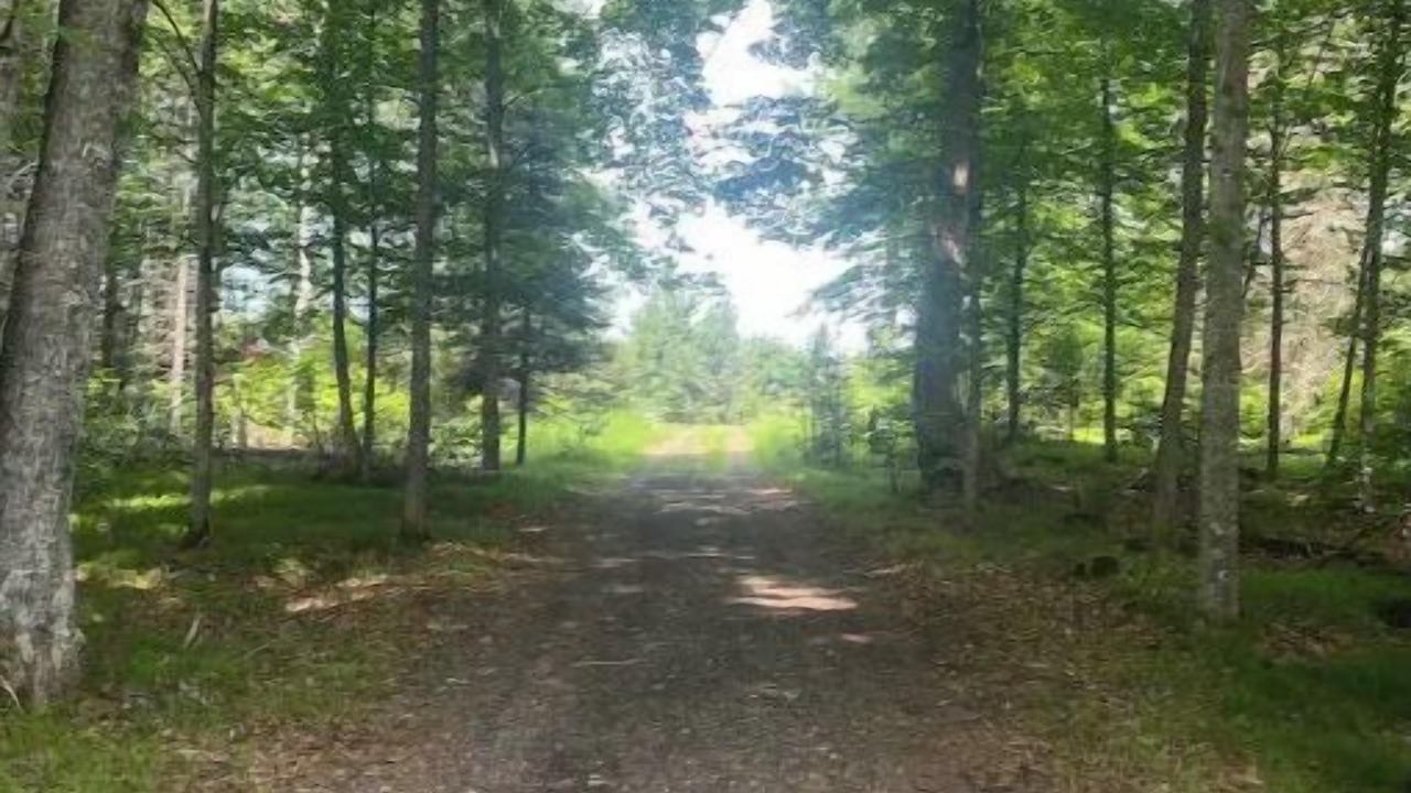 Photo of Outdoor in Iron Mountain