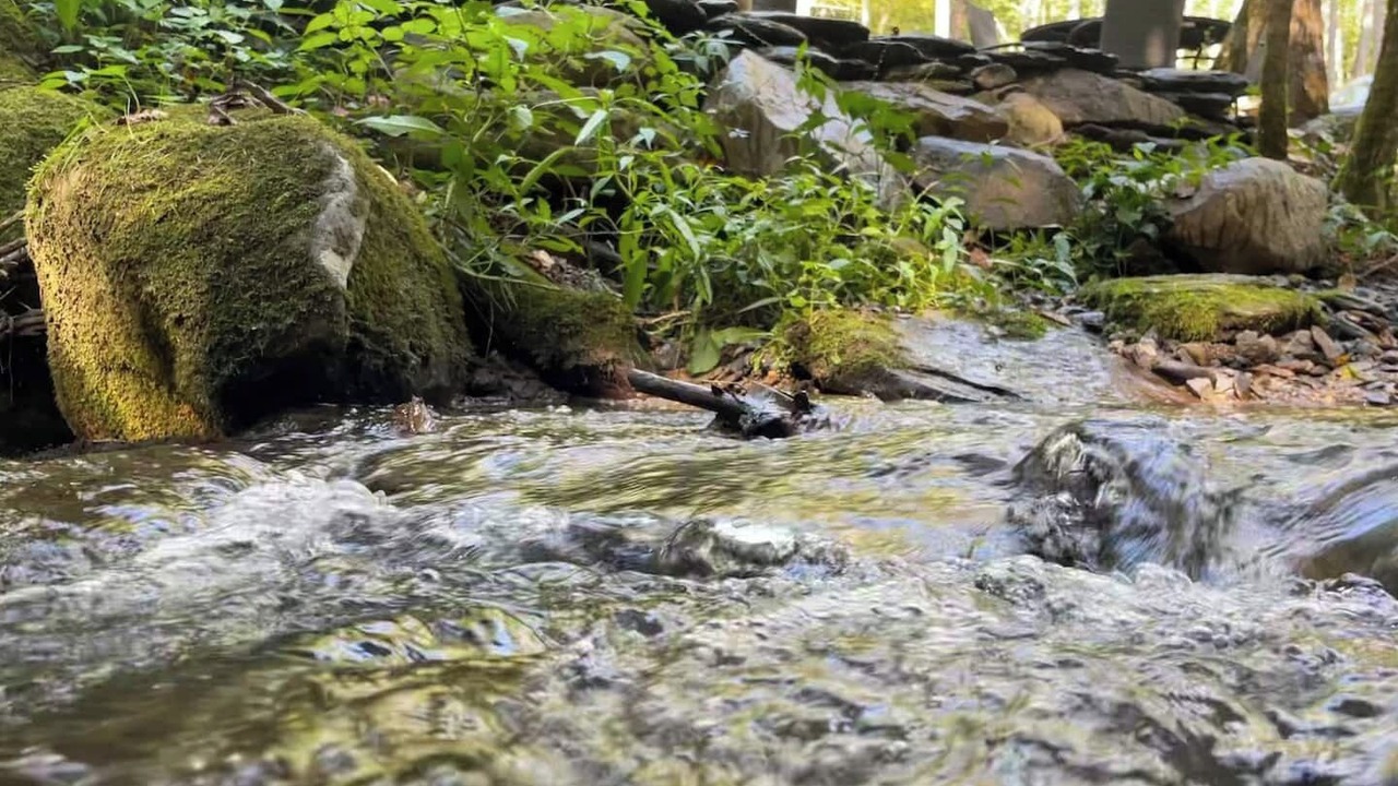 Photo of Outdoor in Cosby