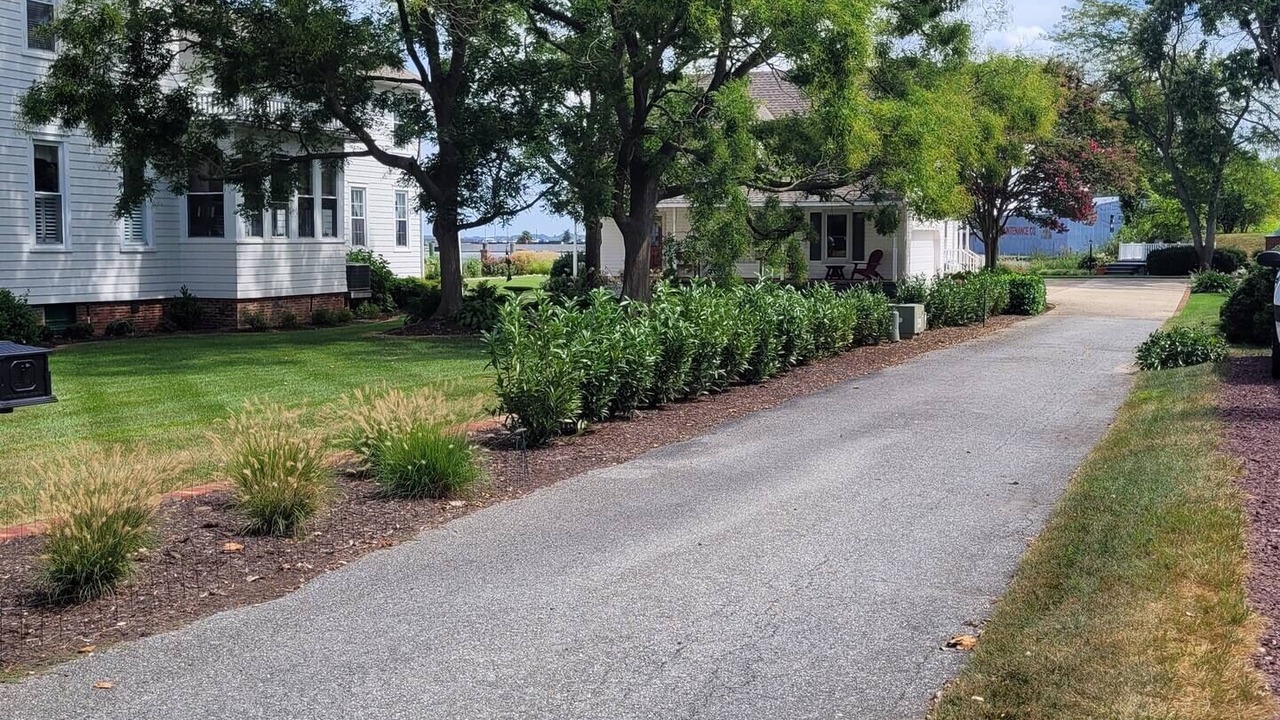 Photo of Outdoor in Cambridge
