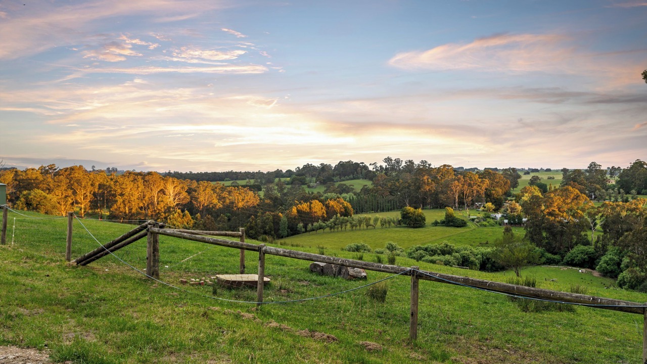 Photo of Others in Jindivick