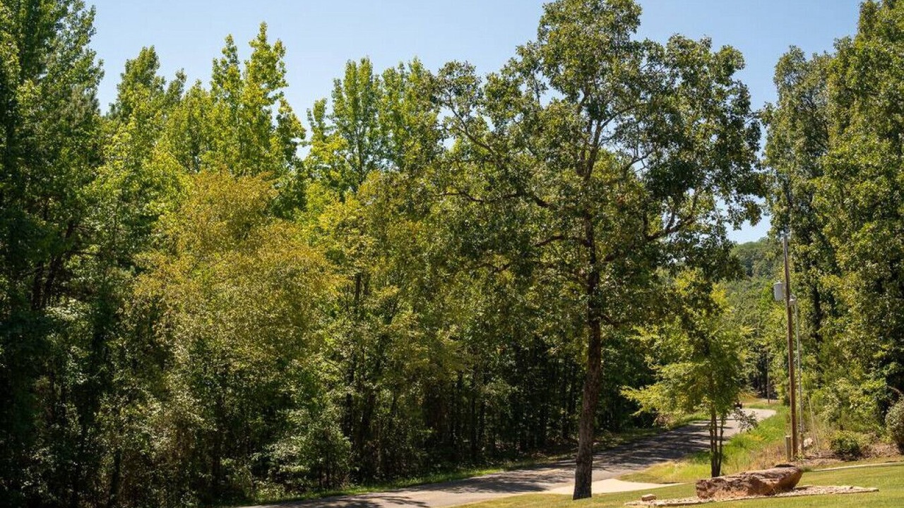 Photo of Others in Russellville