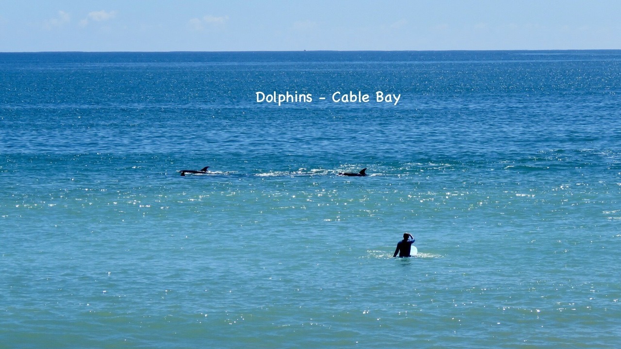 Photo of Outdoor in Cable Bay