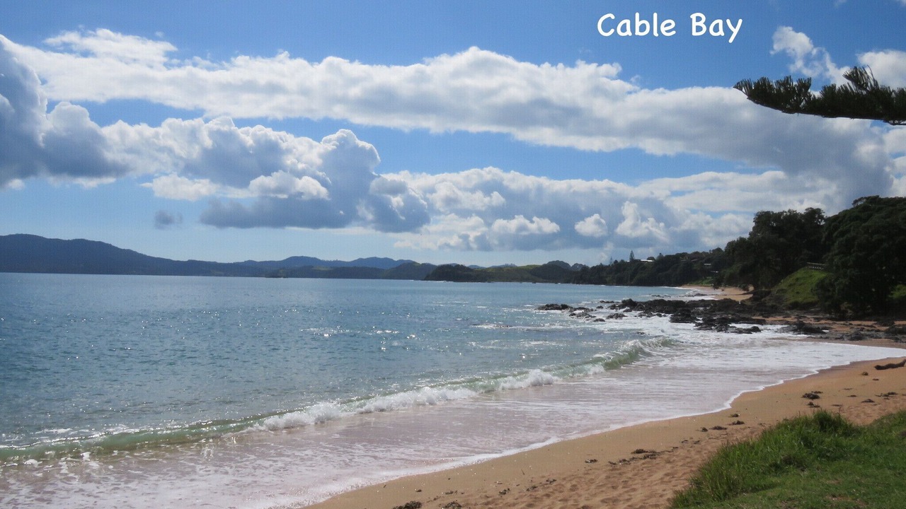 Photo of Others in Cable Bay