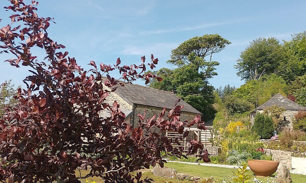 Photo of Outdoor in Yelverton