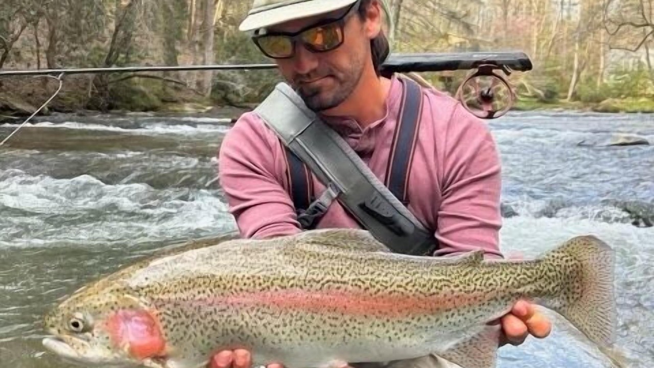 Photo of Others in Ellijay