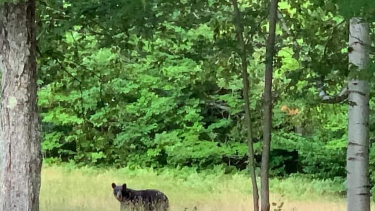 Photo of Others in Randolph