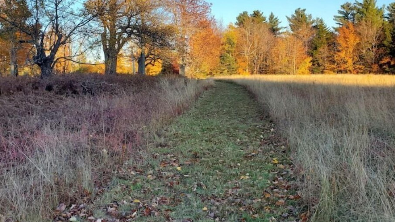 Photo of Others in Randolph