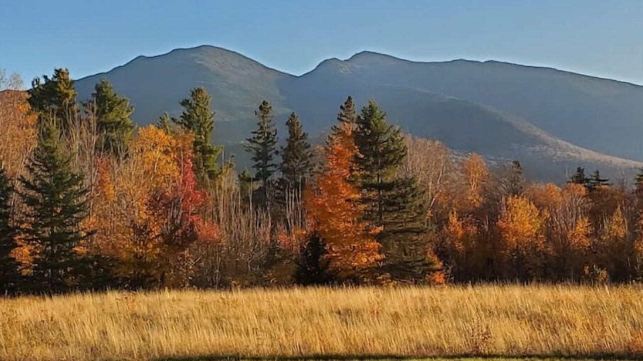 Photo of Outdoor in Randolph