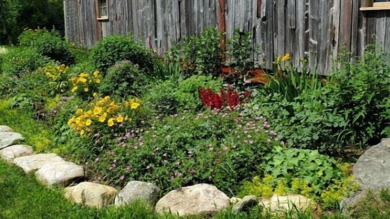 Photo of Outdoor in Randolph