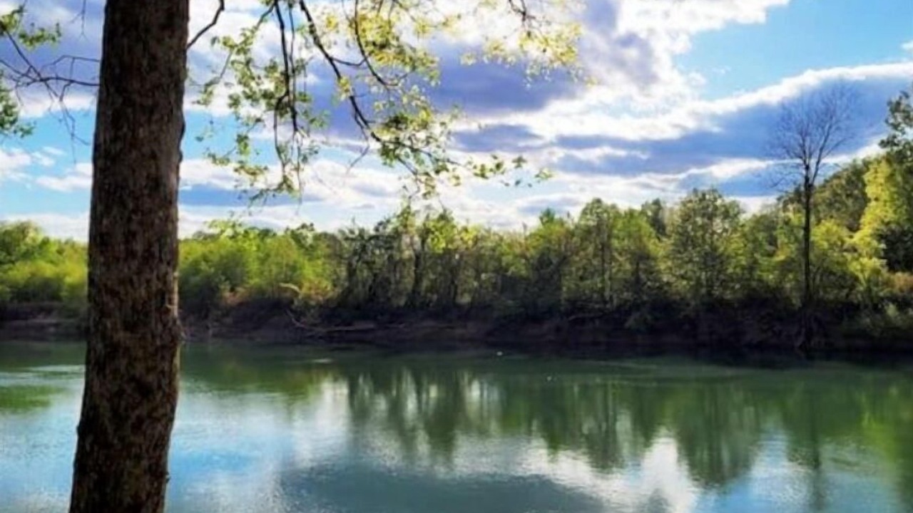 Photo of Others in Beech Grove