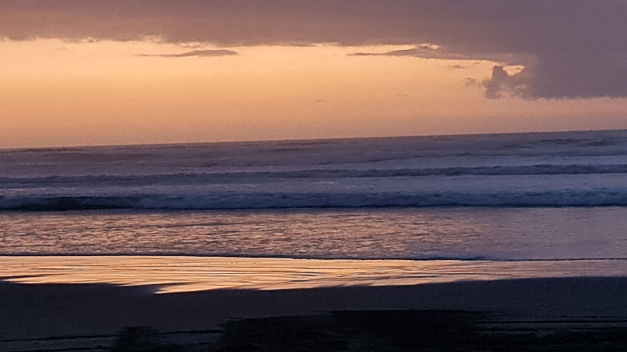 Photo of Others in Waitarere Beach