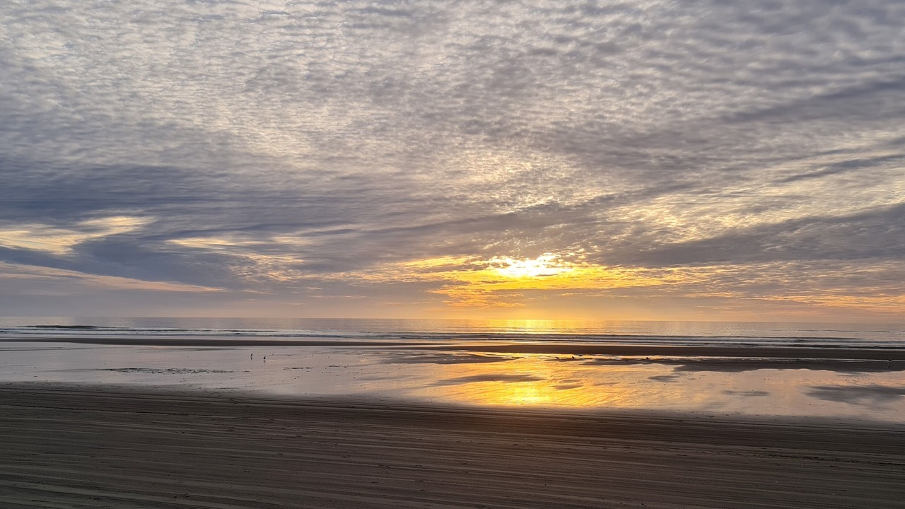 Photo of Others in Waitarere Beach