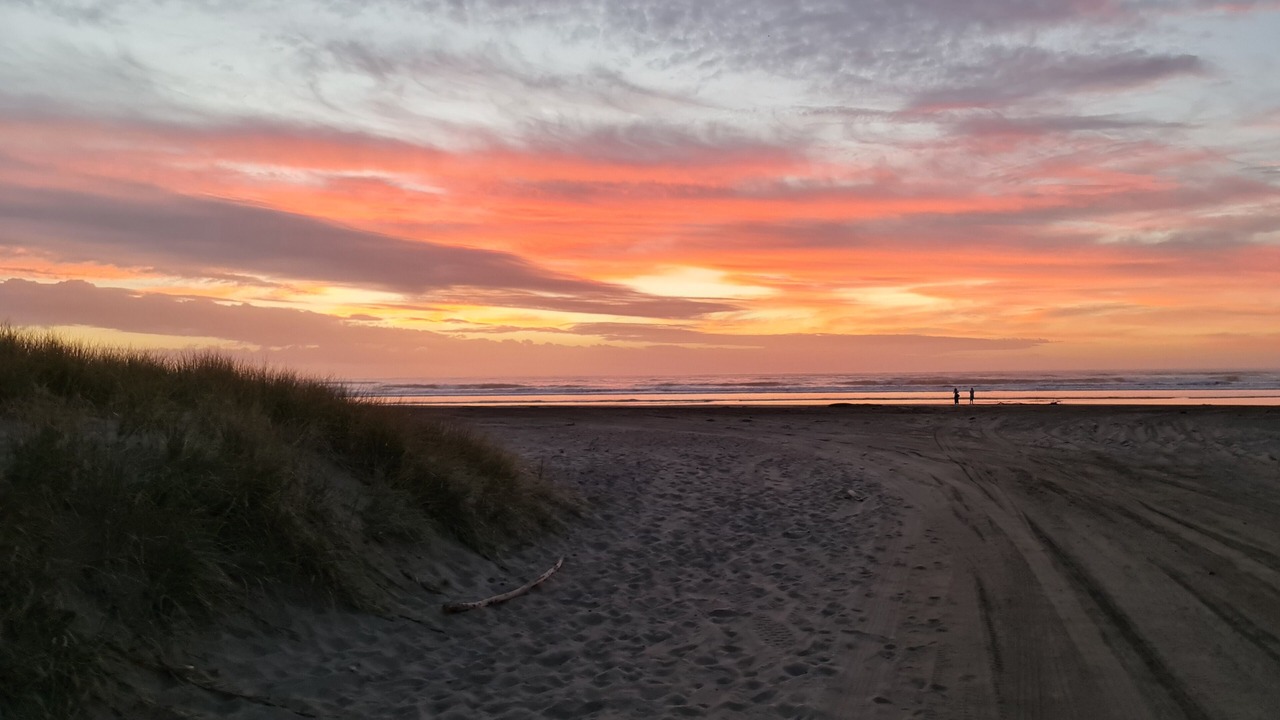 Photo of Others in Waitarere Beach
