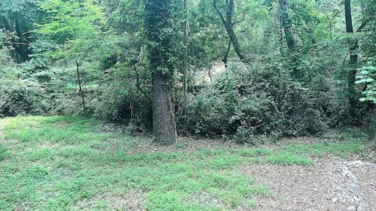 Photo of Outdoor in Athens
