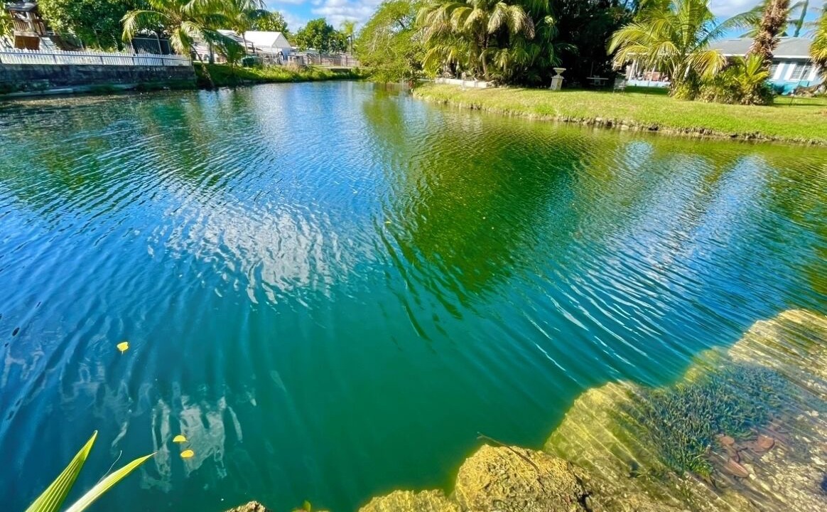 Photo of Others in Palmetto Bay