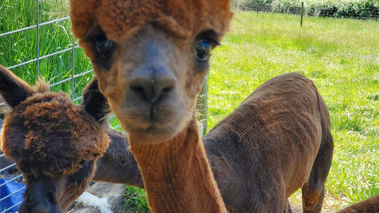 Photo of Others in Troutdale