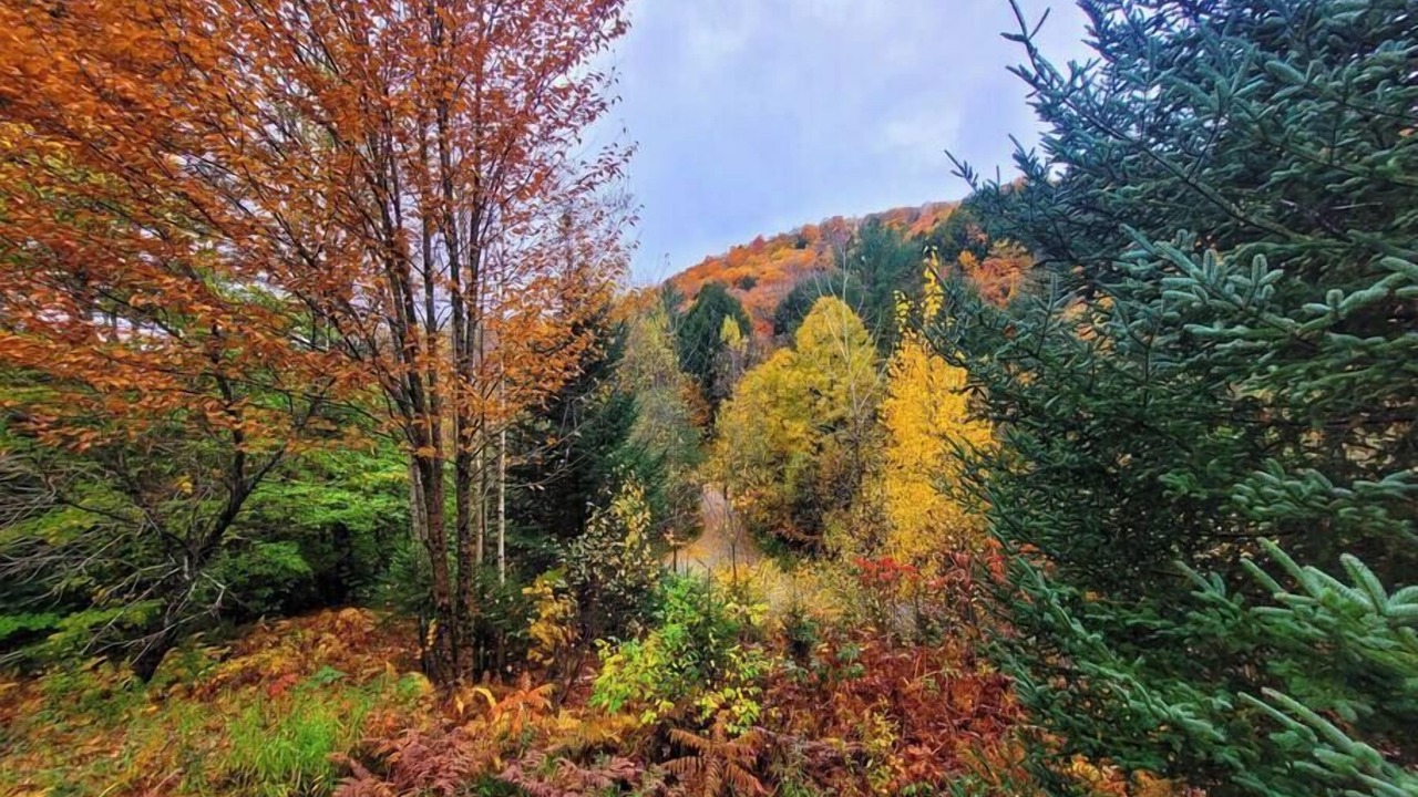 Photo of Others in Moscow