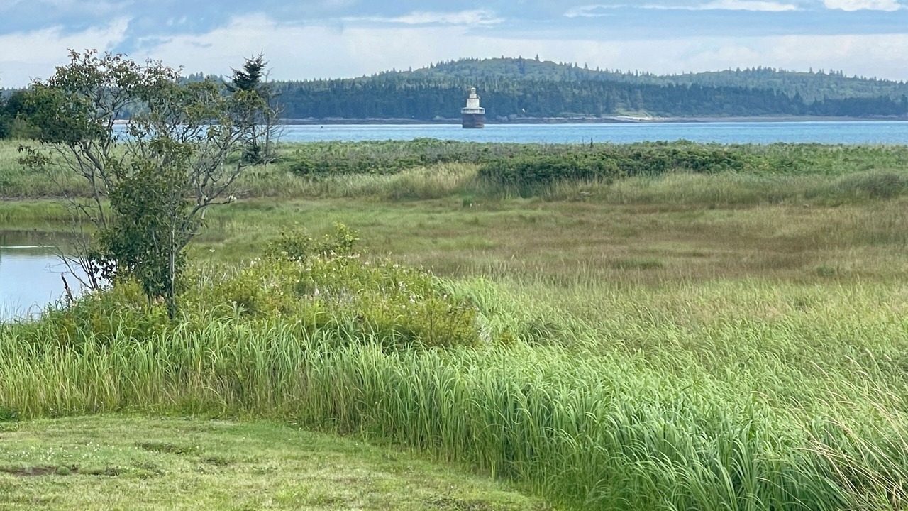 Photo of Others in Lubec